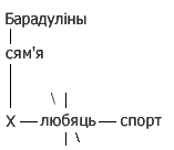 We have obtained a matrix of query with subject-oriented analogies built for the sentence "They like sport in the Baradulins' family"